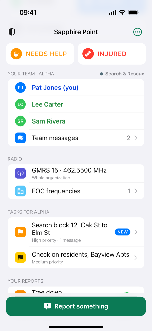 Home screen bottom with radio, tasks and reports