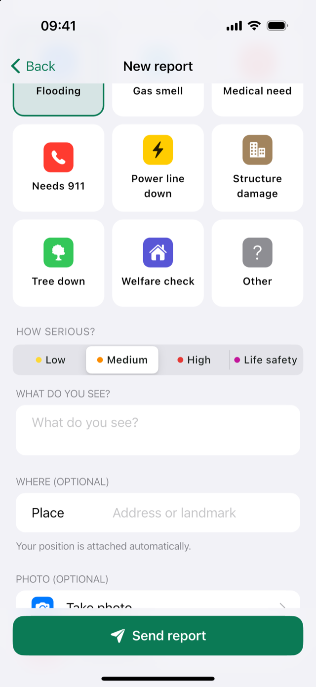 New report screen with the kinds of report