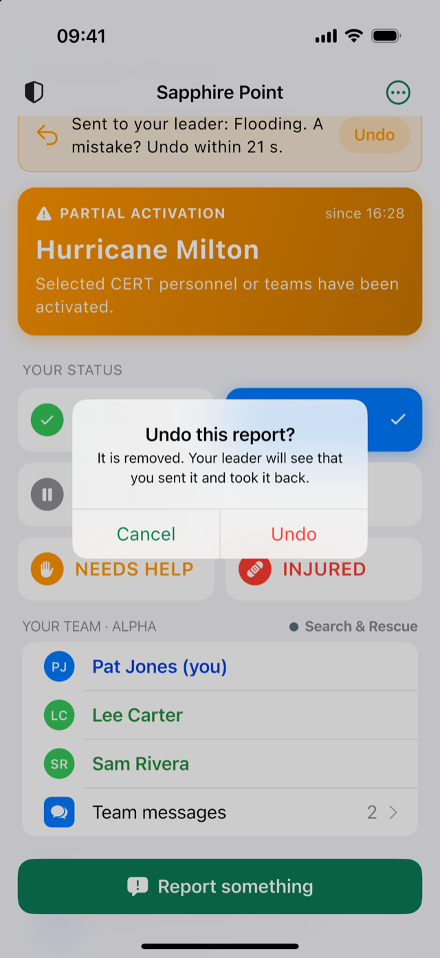 Undo this report? confirmation